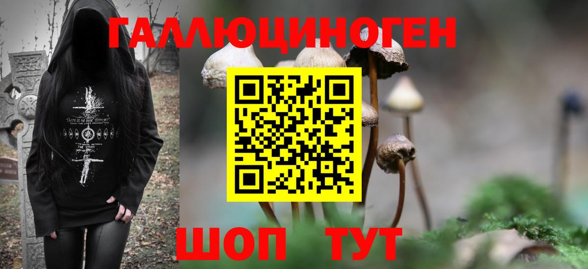 Псилоцибиновые грибы Magic Shrooms  хочу наркоту  Биробиджан  Вход с VPN 